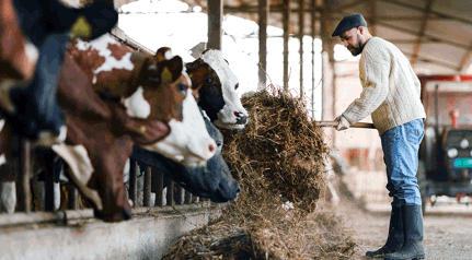 Websiteheader 1200X606px A&L Onteigening